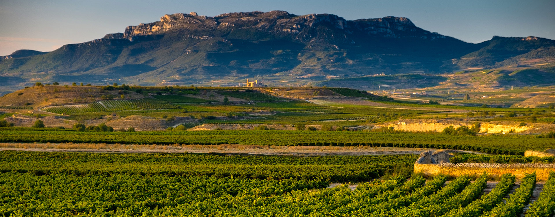 Rioja-Alavesa-backgrowndr.jpg